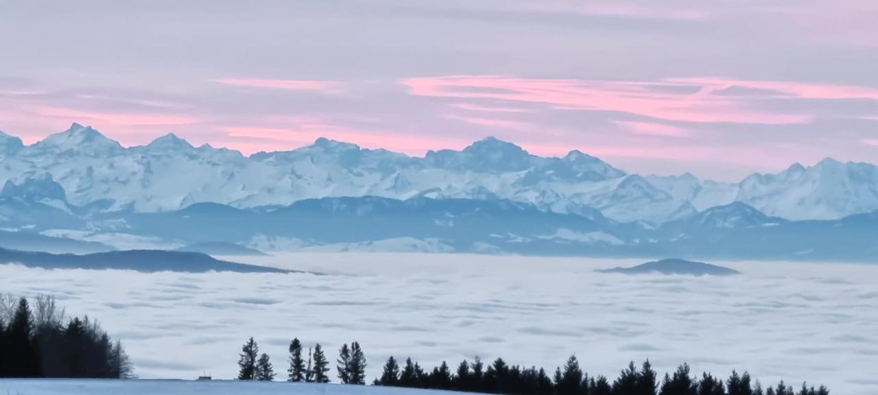 Bio- Und Wellnesshotel Alpenblick Höchenschwand