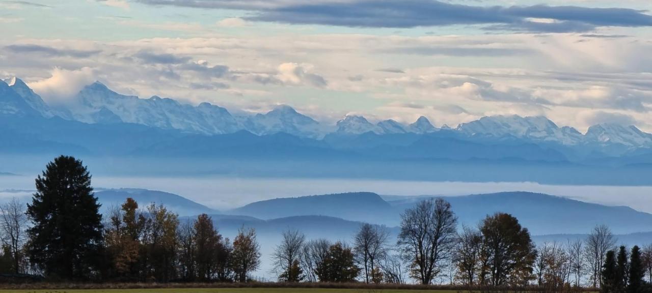 Bio- Und Wellnesshotel Alpenblick Hotel